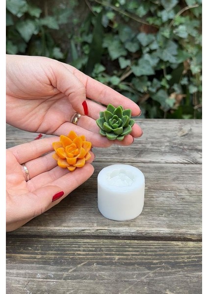Concept Agavoides Sukulent Mum Kalıbı (Silikon)