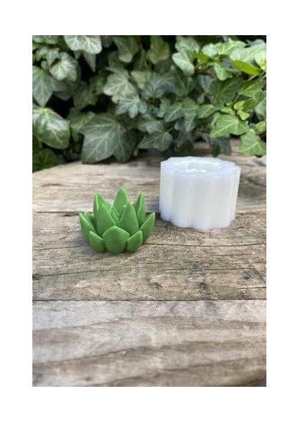 Concept Agavoides Sukulent Mum Kalıbı (Silikon)
