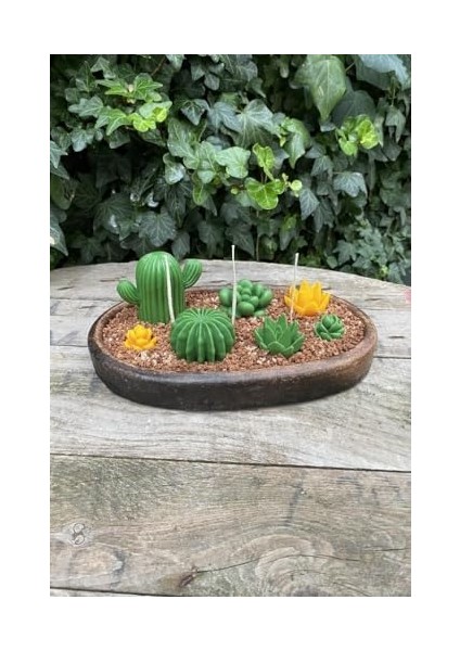 Concept Agavoides Sukulent Mum Kalıbı (Silikon)