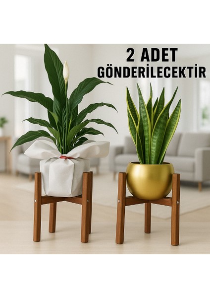 Modern Ahşap Saksı Standı 25 cm - 2 Adet