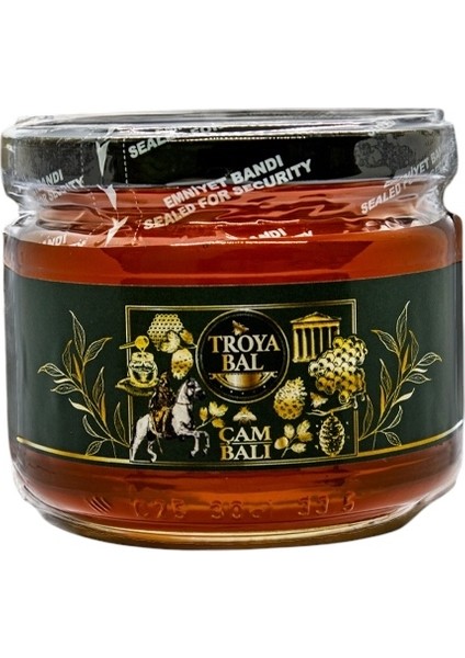 Çam Balı 425 gr