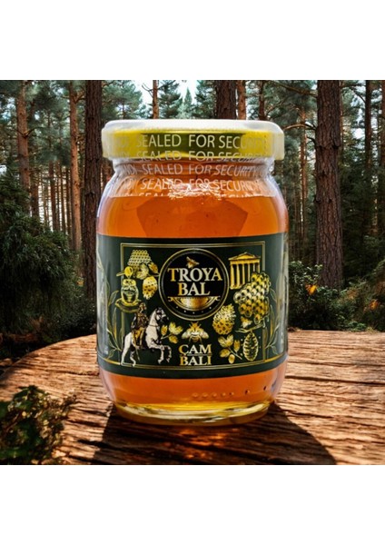 Sağlık ve Lezzetin Mitolojik Harmanı: Troya Çam Balı 250 gr