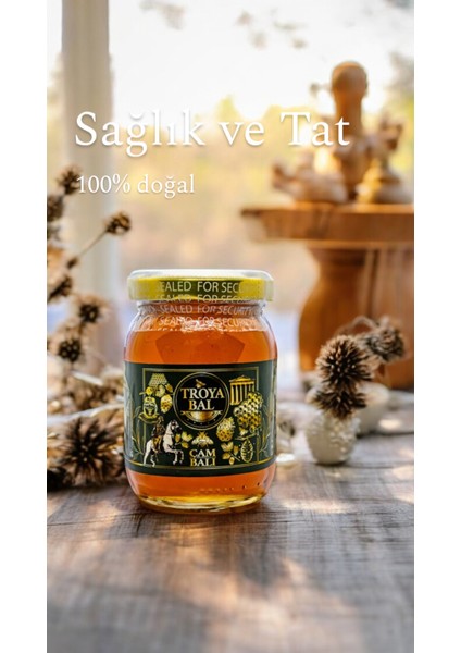 Sağlık ve Lezzetin Mitolojik Harmanı: Troya Çam Balı 250 gr