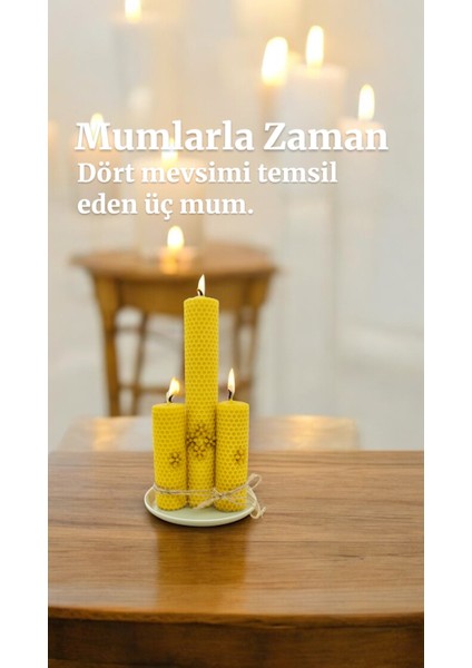 Bal Mumu Çift Sargı Çiçek Bahçesi 3’lü