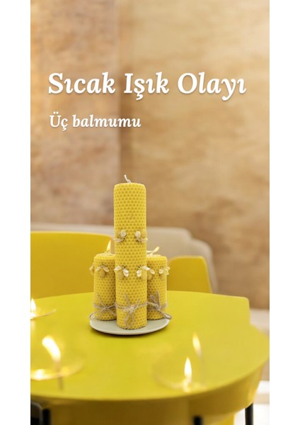 Bal Mumu Çift Sargı Bal Böceği 3’lü