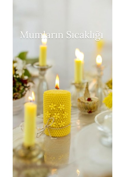 Bal Mumu 4 Kat Sargı Çiçek Bahçesi 3’lü fırsatları