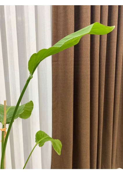 Acı (Koyu) Kahve Rengi 1/3 Sık Pileli Keten Fon Perde indirimleri