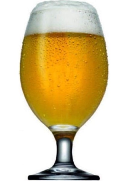 Metrashop 44417S00 Bistro Bira Bardağı, 6'lı
