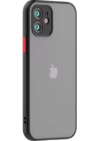 Apple iPhone 11 6.1 Kenarları Renkli Kamera Korumalı Transparan Kılıf (Siyah)