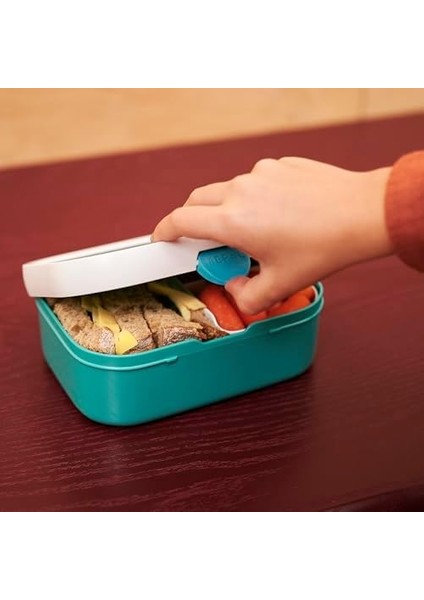 Mola Seti Campus Turkuaz - Içecek Şişesi ve Beslenme Kutusu Bento Kullanımı ile - Okul ve Boş Zaman Için Ideal - Bulaşık Makinesinde Yıkanabilir, Abs, 0 Mm, 2, 400 ml + 4 Tereyağı Ekmeği