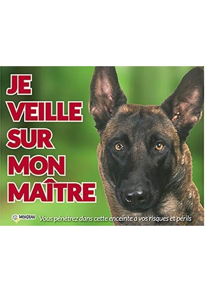 Vadigran Malinois Köpek Fotoğraf Tabelası fiyatları