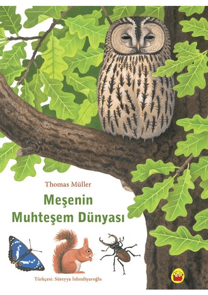 Meşenin Muhteşem Dünyası