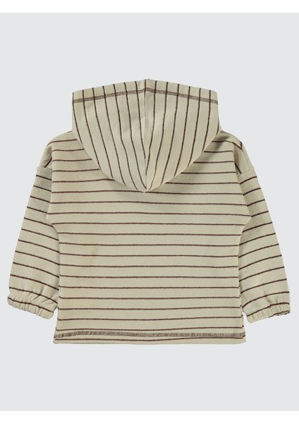 Erkek Çocuk Sweatshirt 2-5 Yaş Taş Rengi fiyatları