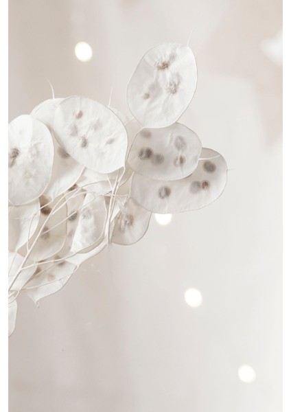 |soft|gül Kombini (Cream) |çerçeveli Cam Tablo 2li Dikey fiyatları