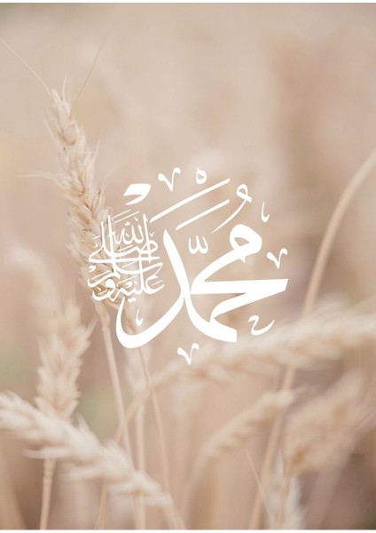 |soft Krem Allah-Muhammed Buğday Islami Kombini |çerçeveli Cam Tablo 2li Dikey fiyatları