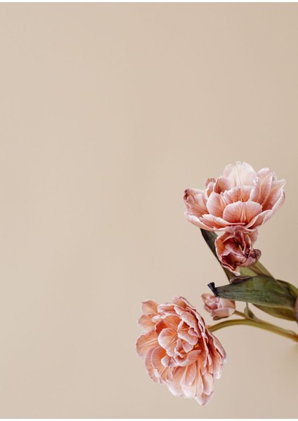 |bej-Pembe Çiçek Soyut Kombini Yeni|çerçeveli Cam Tablo 2li Dikey fiyatları