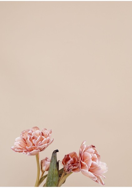 |bej-Pembe Çiçek Soyut Kombini Yeni|çerçeveli Cam Tablo 2li Dikey modelleri