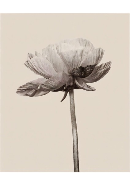 |soft Bej Çiçek Kombini 03 |çerçeveli Cam Tablo 2li Dikey fiyatları