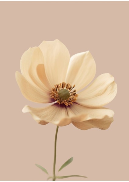 |soft Bej Renkler Bitki Kombini 01|çerçeveli Cam Tablo 2li Dikey fiyatları