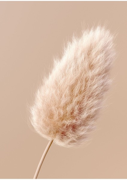 |soft Bej Renkler Bitki Kombini 01|çerçeveli Cam Tablo 2li Dikey modelleri