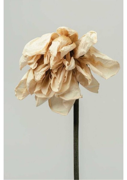 |yeşil Krem Çiçek Kombini Yeni 1 |çerçeveli Cam Tablo 2li Dikey fiyatları