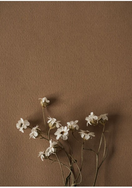 |bej Renk Çiçek Kombini 03 |çerçeveli Cam Tablo 2li Dikey fiyatları