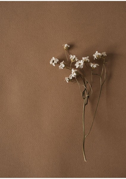 |bej Renk Çiçek Kombini 03 |çerçeveli Cam Tablo 2li Dikey modelleri