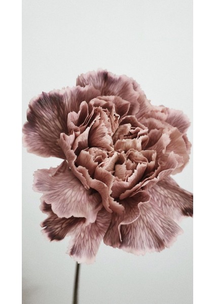 |soft Fuşya-Mürdüm Renk Yapraklı Çiçekler 1|çerçeveli Cam Tablo 2li Dikey fiyatları