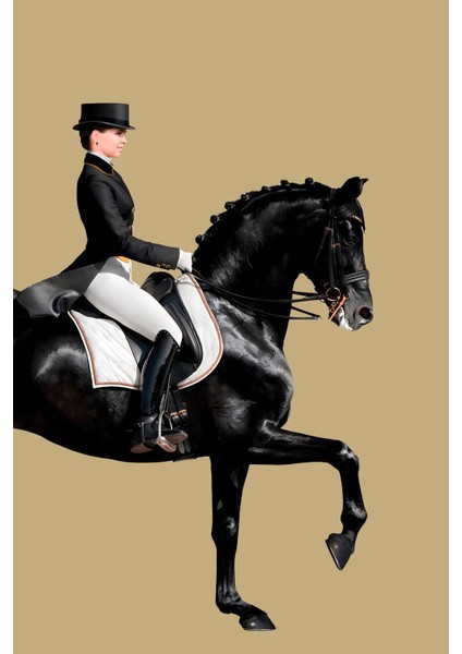 |siyah-Bej Kadın Jokey Kombin 2 |çerçeveli Cam Tablo 2li Dikey fiyatları