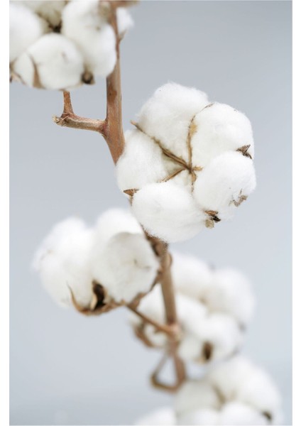 |beyaz Soft Renk Çiçek Kombin Yeni|çerçeveli Cam Tablo 2li Dikey fiyatları