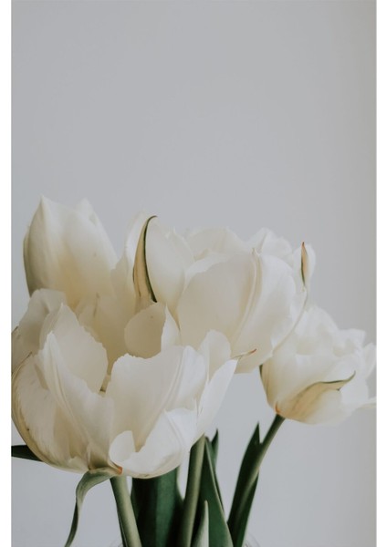 |beyaz Soft Renk Çiçek Kombin Yeni|çerçeveli Cam Tablo 2li Dikey modelleri