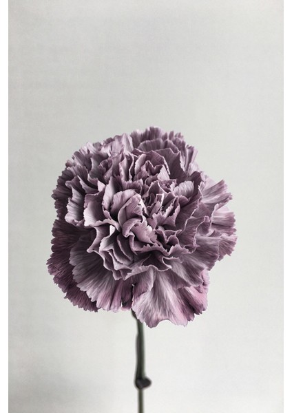 |gri-Mor Çiçek Kombini 01 |çerçeveli Cam Tablo 2li Dikey fiyatları