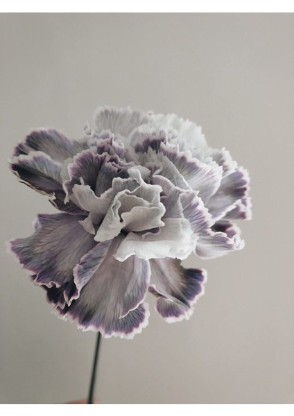 |gri-Mor Çiçek Kombini 01 |çerçeveli Cam Tablo 2li Dikey modelleri