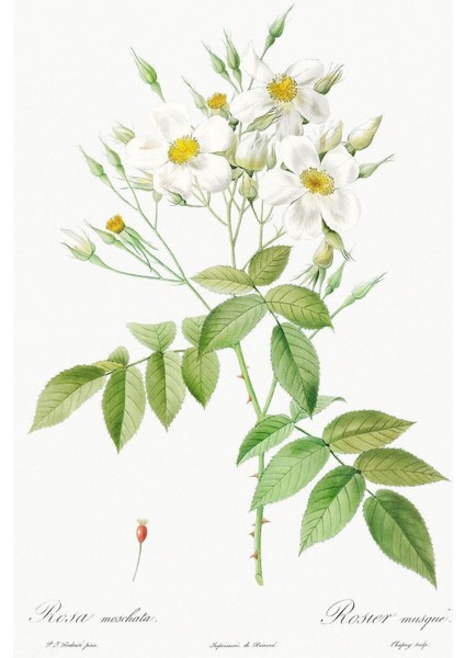 |yeşil-Beyaz-Pembe Çiçek Kombini 03 |çerçeveli Cam Tablo 2li Dikey modelleri