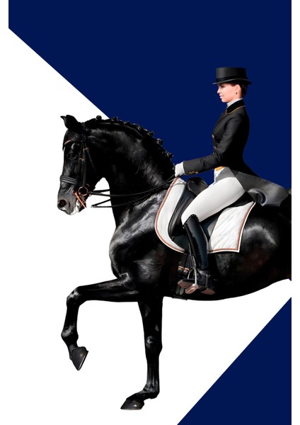 |saks Mavisi-Beyaz Renk Siyah-Beyaz Kadın Jokey Kombin 2 |çerçeveli Cam Tablo 2li Dikey modelleri