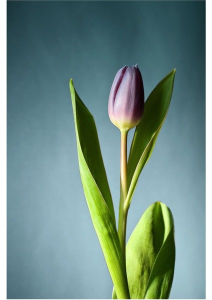 |mavi Yeşil Yapraklı Çiçekler 1|çerçeveli Cam Tablo 2li Dikey modelleri