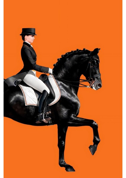 |siyah-Turuncu Kombini Kadın Jokey |çerçeveli Cam Tablo 2li Dikey fiyatları