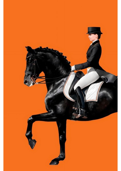 |siyah-Turuncu Kombini Kadın Jokey |çerçeveli Cam Tablo 2li Dikey modelleri