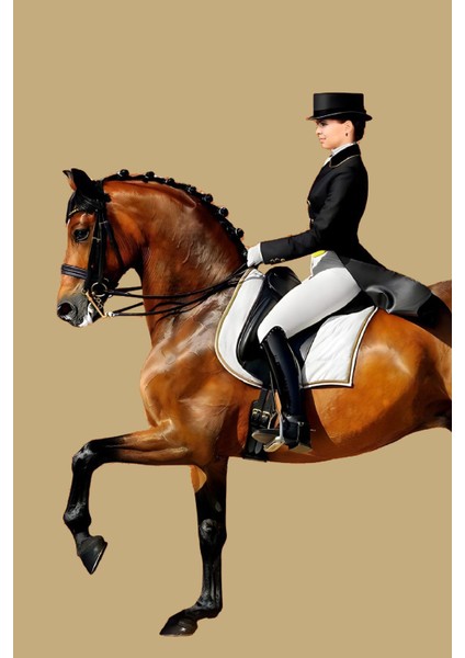 |turuncu-Siyah-Bej Kadın Jokey Kombin |çerçeveli Cam Tablo 2li Dikey fiyatları