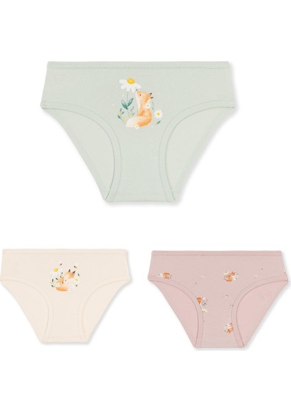 Kız Çocuk Pamuklu Renkli Baskılı Bikini Külot 3'lü PAKET 5838 Renkli