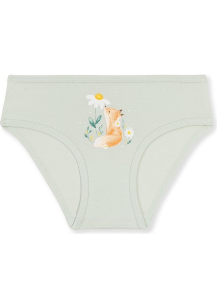 Kız Çocuk Pamuklu Renkli Baskılı Bikini Külot 3'lü PAKET 5838 Renkli fırsatları