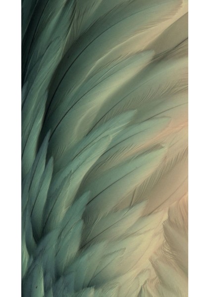 |soft Turkuaz Renk Karahinda Kombini |çerçeveli Cam Tablo 2li Dikey modelleri