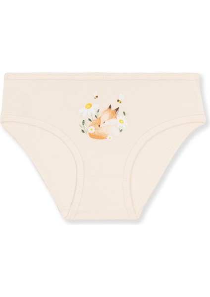 Kız Çocuk Pamuklu Renkli Baskılı Bikini Külot 3'lü PAKET 5838 Renkli fiyatları