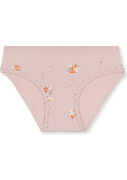 Kız Çocuk Pamuklu Renkli Baskılı Bikini Külot 3'lü PAKET 5838 Renkli modelleri