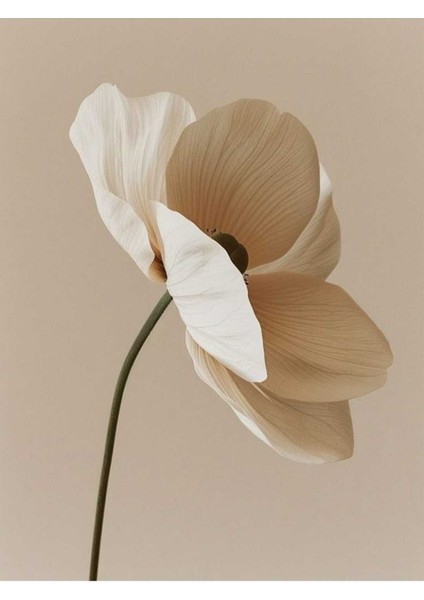 |bej Renk Çiçek Kombini Yeni 002 |çerçeveli Cam Tablo 2li Dikey fiyatları