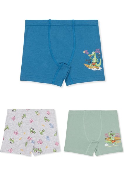 Erkek Çocuk Pamuklu Baskılı Rahat Kesim Likralı Boxer 3'lü Paket 3508 Renkli