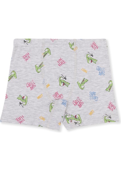 Erkek Çocuk Pamuklu Baskılı Rahat Kesim Likralı Boxer 3'lü Paket 3508 Renkli fiyatları