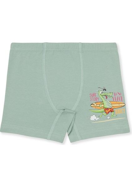 Erkek Çocuk Pamuklu Baskılı Rahat Kesim Likralı Boxer 3'lü Paket 3508 Renkli fırsatları