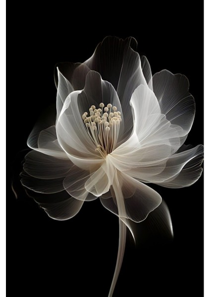 |beyaz Siyah Renk Çiçek Kombini 01 Yeni|çerçeveli Cam Tablo 2li Dikey fiyatları