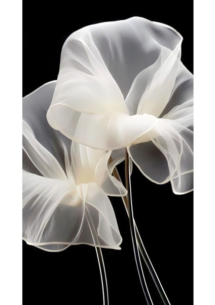 |beyaz Siyah Renk Çiçek Kombini 01 Yeni|çerçeveli Cam Tablo 2li Dikey modelleri